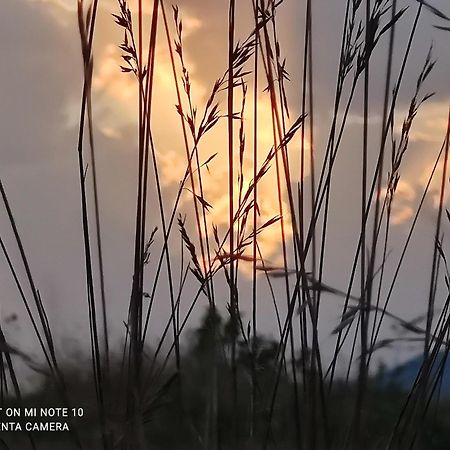 Le Gite D'Olympe Cordes-sur-Ciel Exterior foto